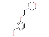 3-(2-吗啉-4-<span class='lighter'>乙</span><span class='lighter'>氧基</span>)<span class='lighter'>苯</span><span class='lighter'>甲醛</span>