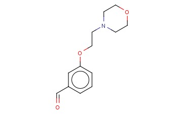 3-(2-吗啉-4-<span class='lighter'>乙</span><span class='lighter'>氧基</span>)<span class='lighter'>苯</span><span class='lighter'>甲醛</span>