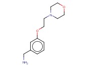 [3-(2-吗啉乙氧基)苯基]甲胺