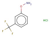 O-(3-(TRIFLUOROMETHYL)PHENYL)HYDROXYLAMINE HYDROCHLORIDE