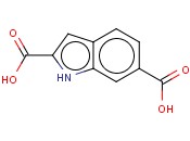 1H-<span class='lighter'>INDOLE</span>-2,6-DICARBOXYLIC ACID