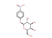 4-Nitrophenyl-beta-D-galactopyranoside