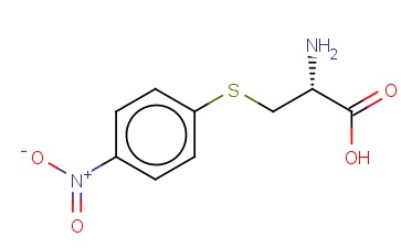 S-(4-硝基苯基)-<span class='lighter'>L-</span><span class='lighter'>半胱氨酸</span>