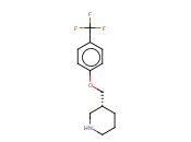 ACADIASCI AC09933