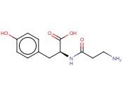 B-<span class='lighter'>ALANYL-L-TYROSINE</span>