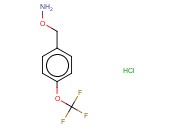 O-(4-(TRIFLUOROMETHOXY)BENZYL)-HYDROXYLAMINE HYDROCHLORIDE