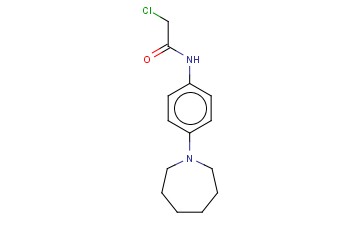 N-(4-AZEPAN-1-YL-PHENYL)-2-CHLORO-ACETAMIDE