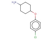 4-(4-CHLOROPHENOXY)CYCLOHEXANAMINE