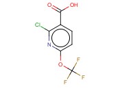 2-CHLORO-6-(TRIFLUOROMETHOXY)NICOTINIC ACID