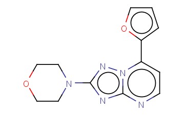 7-(2-FURYL)-2-MORPHOLINO[1,2,4]TRIAZOLO[1,5-A]PYRIMIDINE