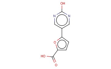5-(2-HYDROXY-5-PYRIMIDINYL)-<span class='lighter'>2-FUROIC</span> ACID