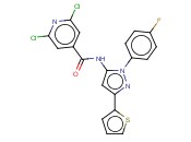 2,6-DICHLORO-N-[1-(4-FLUOROPHENYL)-3-(2-THIENYL)-1H-PYRAZOL-5-YL]<span class='lighter'>ISONICOTINAMIDE</span>