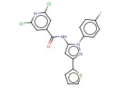 2,6-DICHLORO-N-[1-(4-IODOPHENYL)-3-(2-THIENYL)-1H-PYRAZOL-5-YL]<span class='lighter'>ISONICOTINAMIDE</span>
