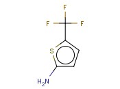 2-THIOPHENAMINE, 5-(TRIFLUOROMETHYL)-