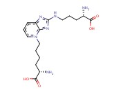 PENTOSIDINE