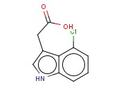 <span class='lighter'>4-CHLOROINDOLE-3-ACETIC</span> ACID