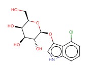 4-<span class='lighter'>氯</span>-3-<span class='lighter'>吲哚</span>基 beta-D-吡喃半乳糖苷