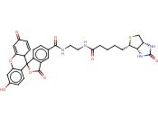 BIOTIN-5-FLUORESCEIN