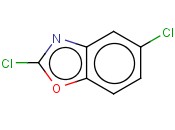 2,5-二氯苯并恶唑