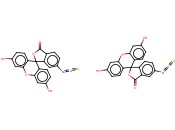 FLUORESCEIN ISOTHIOCYANATE