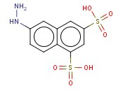 6-HYDRAZINONAPHTHALENE-1,3-DISULPHONIC ACID