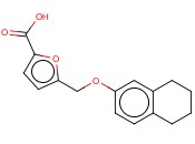 5-[(5,6,7,8-TETRAHYDRO-2-NAPHTHALENYLOXY)METHYL]-<span class='lighter'>2-FUROIC</span> ACID