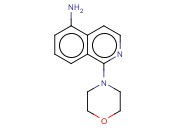 1-(MORPHOLIN-4-YL)ISOQUINOLIN-5-AMINE