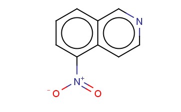 <span class='lighter'>5-NITROISOQUINOLINE</span>
