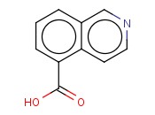 <span class='lighter'>Isoquinoline-5-carboxylic</span> acid