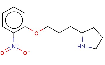 2-[3-(2-NITROPHENOXY)PROPYL]PYRROLIDINE
