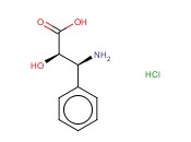 (2R,3S)-3-PHENYLISOSERINE HYDROCHLORIDE