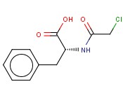 N-氯乙酰-<span class='lighter'>D-</span>苯丙<span class='lighter'>氨酸</span>