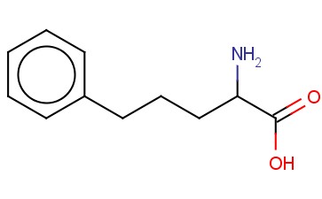 A-氨基苯基戊酸