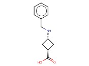 TRANS-3-BENZYLAMINOCYCLOBUTANECARBOXYLIC ACID