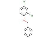 2,4-DICHLORO-1-(PHENYLMETHOXY)BENZENE