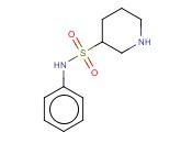 N-<span class='lighter'>PHENYLPIPERIDINE</span>-3-SULFONAMIDE