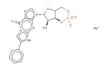<span class='lighter'>BETA-PHENYL-1</span>,<span class='lighter'>N2-ETHENOGUANOSINE</span> 3',5'-<span class='lighter'>MONOPHOSPHATE</span> <span class='lighter'>SODIUM</span> SALT