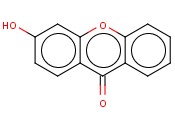 Sieber Linker 3-Hydroxy-xanthen-9-one