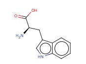 D-<span class='lighter'>色氨酸</span>