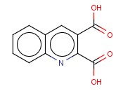 2,3-QUINOLINE DICARBOXYLIC ACID