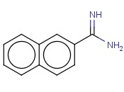 NAPHTHALENE-2-CARBOXAMIDINE