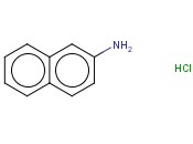 2-萘<span class='lighter'>胺</span><span class='lighter'>盐酸盐</span>