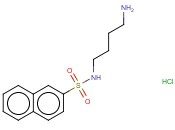 N-(4-氨基<span class='lighter'>丁基</span>)-2-萘磺酰<span class='lighter'>盐酸盐</span>