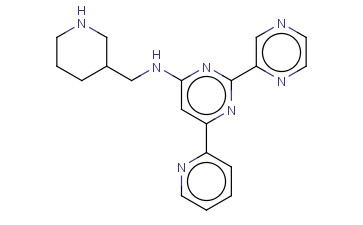 PIPERIDIN-3-YLMETHYL-(2-PYRAZIN-2-YL-6-PYRIDIN-2-YL-PYRIMIDIN-4-YL)-AMINE