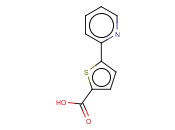 5-(2-PYRIDYL)THIOPHENE-2-CARBOXYLIC ACID