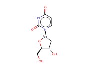 [1'-13C]2'-DEOXYURIDINE