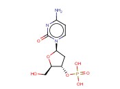 2ˊ-脱氧胞苷-3ˊ-<span class='lighter'>一</span>磷酸