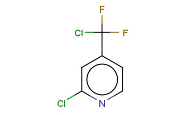 2-氯-4-氯二<span class='lighter'>氟</span>甲基<span class='lighter'>吡啶</span>