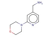 (2-吗啉吡啶-4-基)甲胺