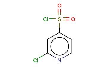 <span class='lighter'>2-CHLORO-4-PYRIDINESULFONYL</span> <span class='lighter'>CHLORIDE</span>